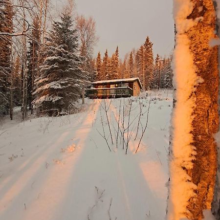 Northwoods Cottage Bed And Breakfast Фэрбанкс Экстерьер фото