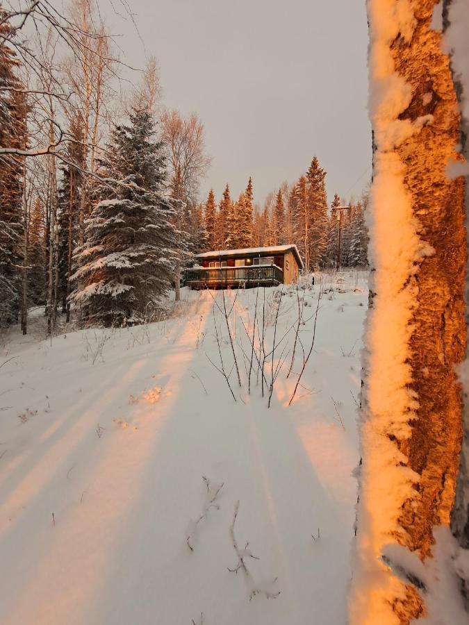 Northwoods Cottage Bed And Breakfast Фэрбанкс Экстерьер фото