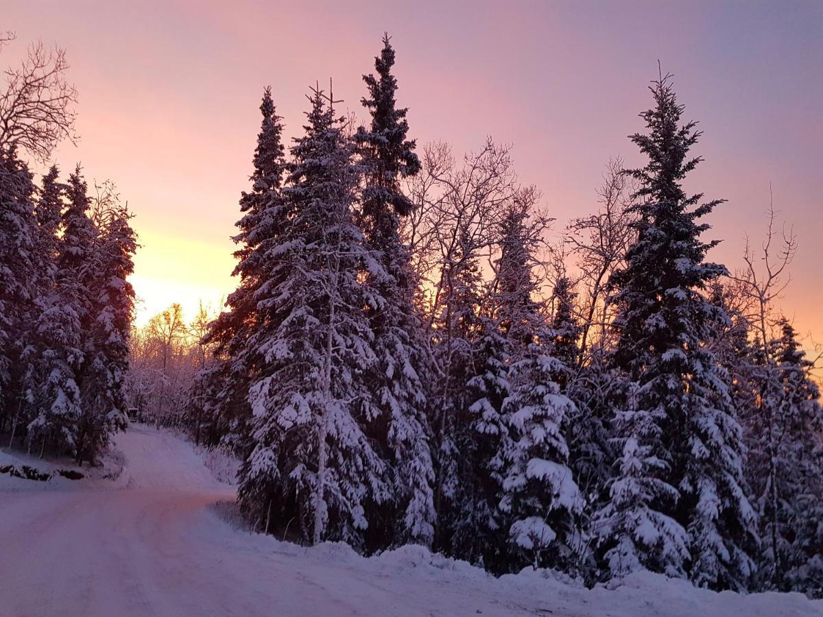 Northwoods Cottage Bed And Breakfast Фэрбанкс Экстерьер фото