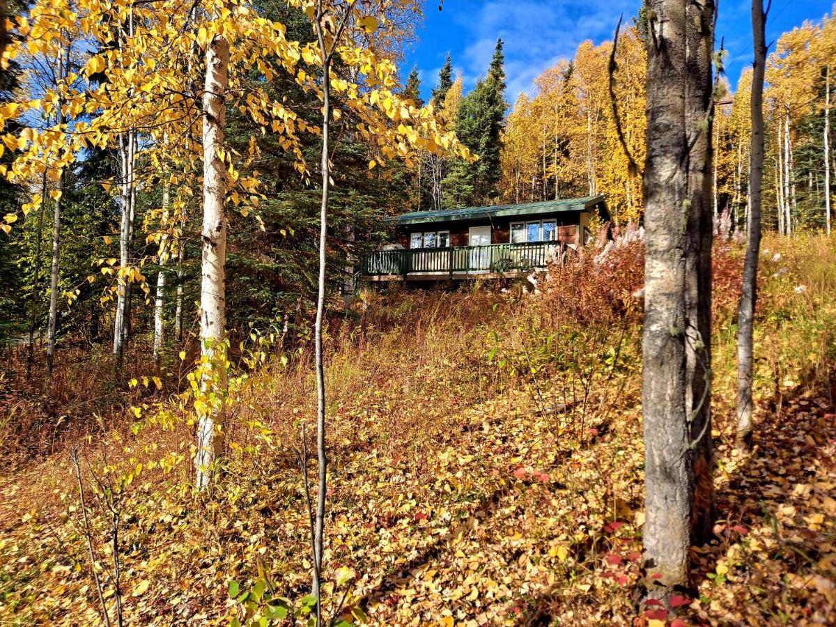 Northwoods Cottage Bed And Breakfast Фэрбанкс Экстерьер фото