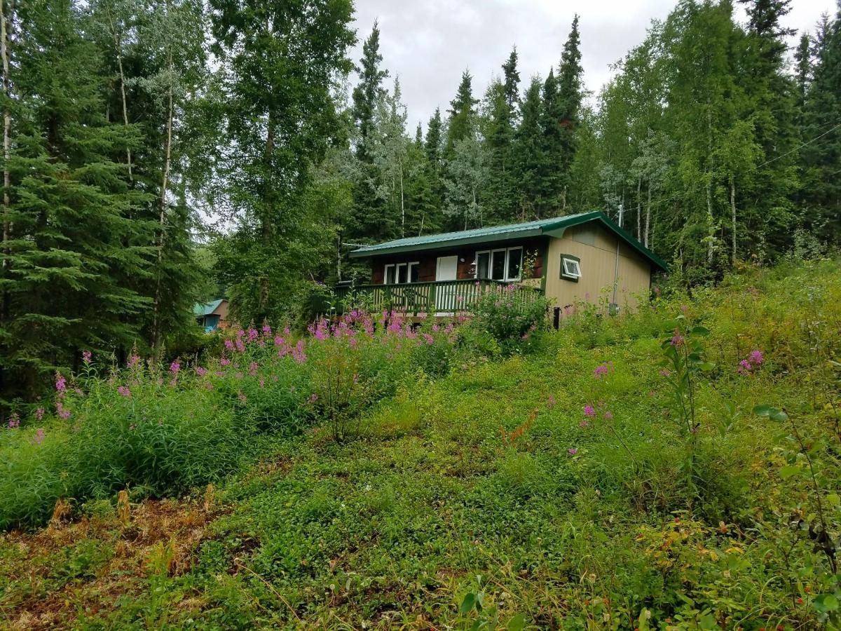 Northwoods Cottage Bed And Breakfast Фэрбанкс Экстерьер фото