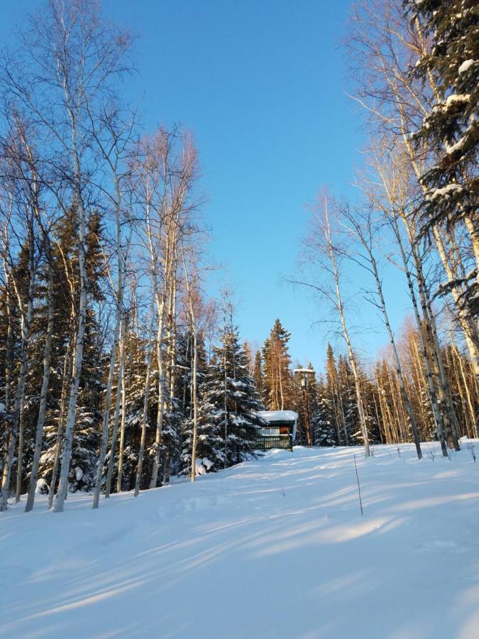 Northwoods Cottage Bed And Breakfast Фэрбанкс Экстерьер фото
