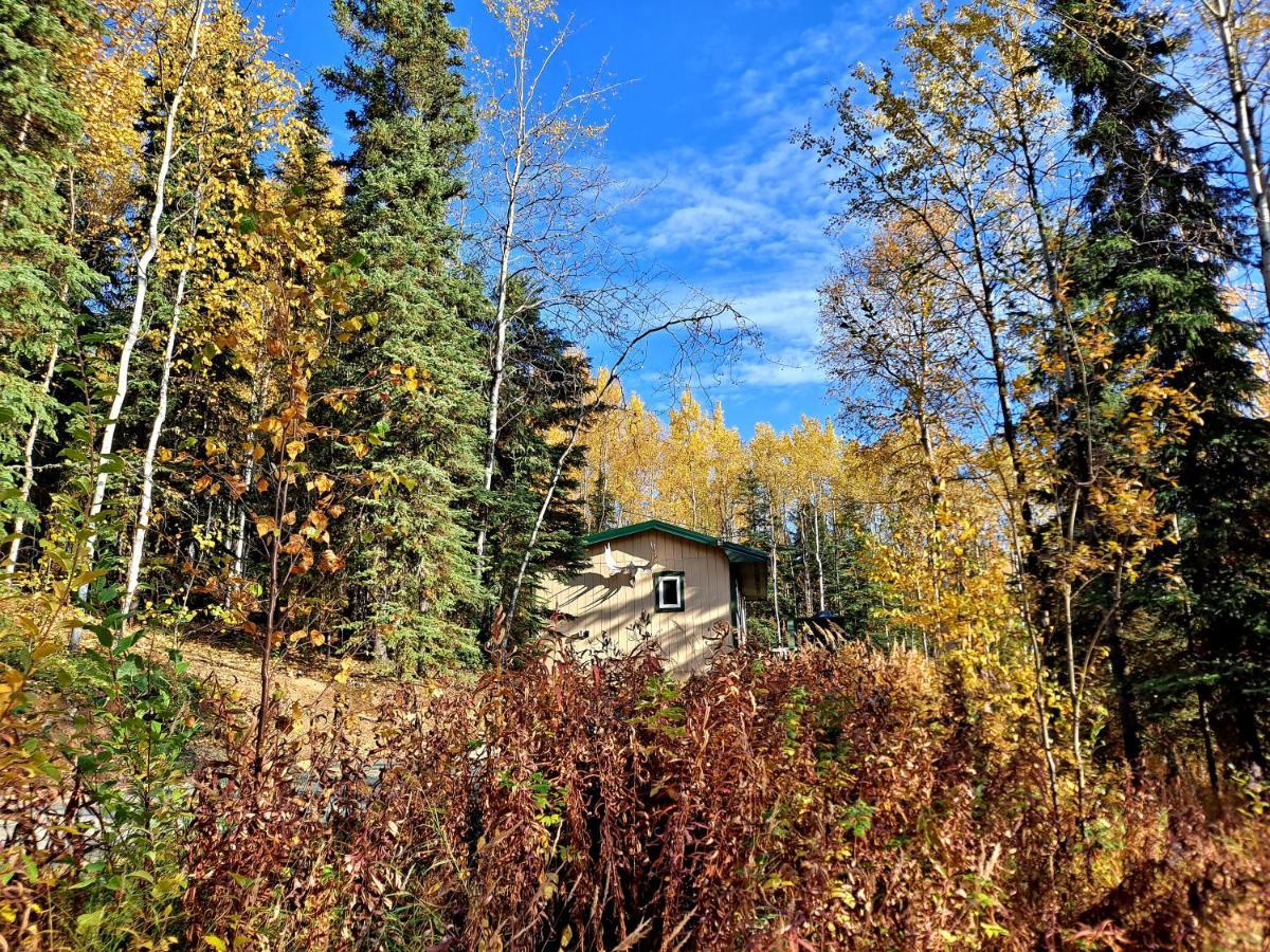 Northwoods Cottage Bed And Breakfast Фэрбанкс Экстерьер фото